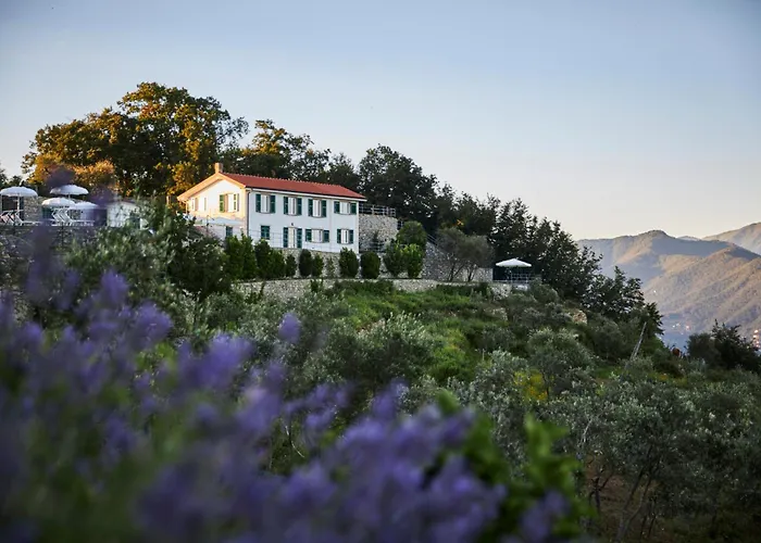 Il Leccio - Luxury Resort Portofino Monte