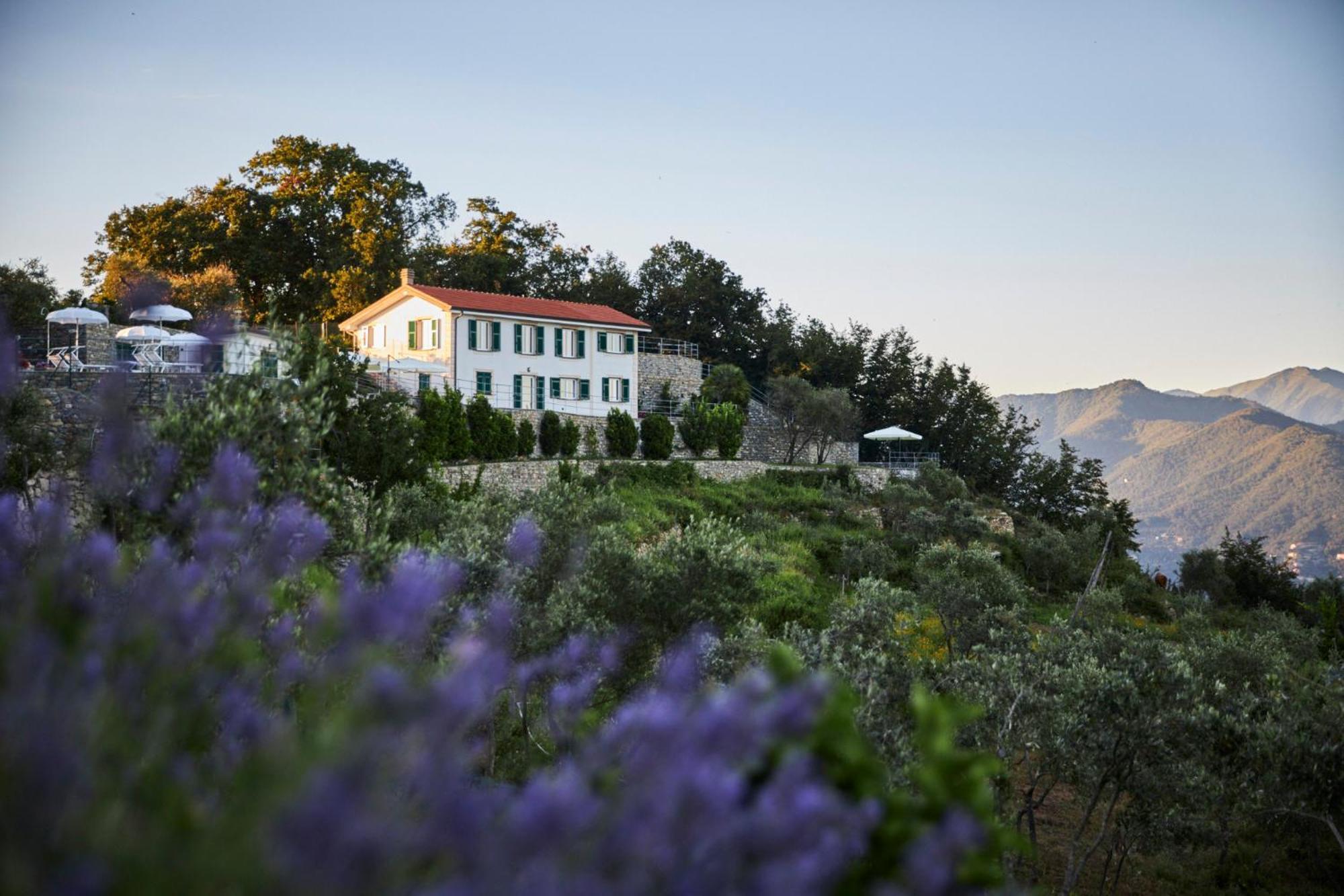 Il Leccio - Luxury Portofino Monte Resort Santa Margherita Ligure