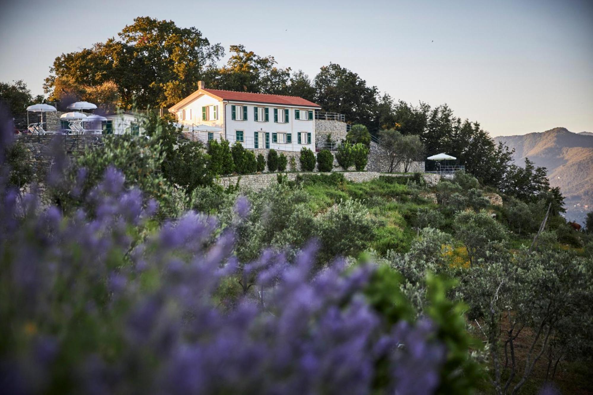 Il Leccio - Luxury Portofino Monte Santa Margherita Ligure
